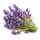 Floral notes