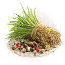 Java Vetiver Oil