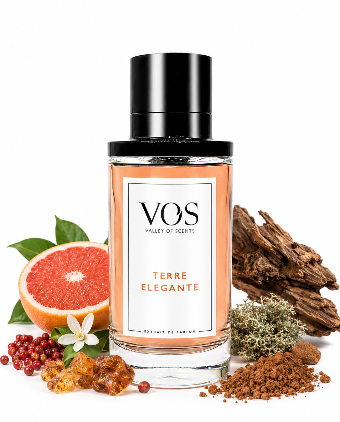 Terre Elegante